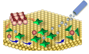 Graphical abstract: Construction of metal–organic nanostructures and their structural transformations on metal surfaces