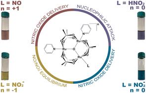 Graphical abstract: Reactivity of trinuclear ruthenium acetates with nitrite and nitric oxide ligands in aqueous media