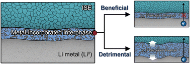Graphical abstract: Metal-incorporated interphases formed between inorganic solid electrolytes and Li metal: beneficial or detrimental?