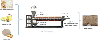 Graphical abstract: Effects of pectin and avocado oil in the production of meat analogues obtained by high moisture extrusion and their physicochemical characterization