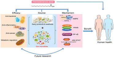 Graphical abstract: Gut microbe-derived pentadecanoic acid could represent a novel health-promoter via multiple pathways