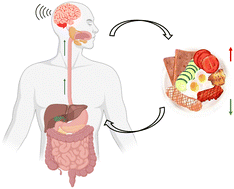 Graphical abstract: Dietary strategies for appetite regulation: satiety and obesity management