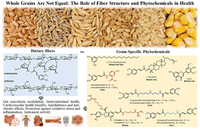 Graphical abstract: Whole grains are not equal: the role of fiber structure and phytochemicals in health