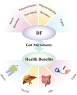 Graphical abstract: Regulation of resistant starch, non-starch polysaccharides, resistant oligosaccharides and lignin on the gut microbiota and association with their health benefits