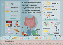 Graphical abstract: Probiotics as functional food ingredients for interventions in hyperlipidemia during pregnancy: applications, mechanisms, impacts and challenges