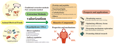 Graphical abstract: Recent advances in mining hypolipidemic bioactive compounds from animal-derived foods