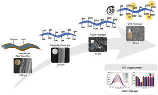 Graphical abstract: Exploring the dual role of TEMPO-oxidized cellulose nanofibers in CdSe quantum dot synthesis for biocomposites in metal ion chemosensing