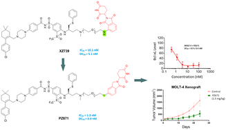 Graphical abstract: Discovery of PZ671, a highly potent and in vivo active CRBN-recruiting Bcl-xL degrader
