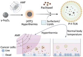 Graphical abstract: Magnetic hyperthermia-triggered multi-functional thermo-responsive lipid nanoparticles for enhanced paclitaxel release and cytotoxicity