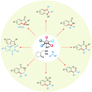Graphical abstract: Recent advances in the synthesis of nitrogen heterocycles via Rh(iii)-catalyzed chelation-assisted C–H activation/annulation with diazo compounds