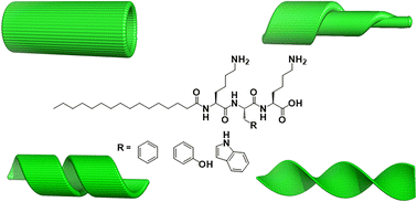 Graphical abstract: Diverse nanostructures and antimicrobial activity of lipopeptides bearing lysine-rich tripeptide sequences