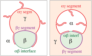 Graphical abstract: Complex remodeling of biomembranes and vesicles by condensate droplets