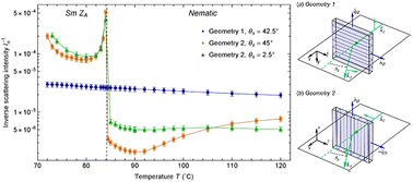Graphical abstract: Dynamics of the antiferroelectric smectic-ZA phase in a ferroelectric nematic liquid crystal
