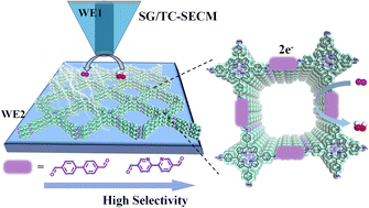 Graphical abstract: Linker polarization engineering in covalent organic frameworks enabling metal-free electrocatalysts for high-efficiency oxygen reduction