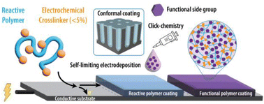 Graphical abstract: Electrodeposition of reactive polymer networks for conformal ultrathin coatings amenable to post-deposition functionalization