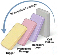 Graphical abstract: A failure-cascade view of cathode degradation and intervention strategies in aqueous Zn-ion batteries