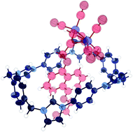 Graphical abstract: A dual-functional tetrakis-imidazolium macrocycle for supramolecular assembly