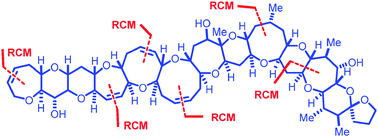 Graphical abstract: Metathesis in total synthesis