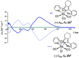 Graphical abstract: Rhenium complexes bearing phosphole–pyridine chelates: simple molecules with large chiroptical properties