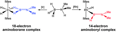 Graphical abstract: Dimethylamine borane dehydrogenation chemistry: syntheses, X-ray and neutron diffraction studies of 18-electron aminoborane and 14-electron aminoboryl complexes