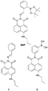 Graphical abstract: Ditopic boronic acid and imine-based naphthalimide fluorescence sensor for copper(ii)