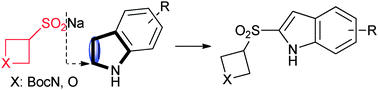 Graphical abstract: Synthesis and indole coupling reactions of azetidine and oxetane sulfinate salts