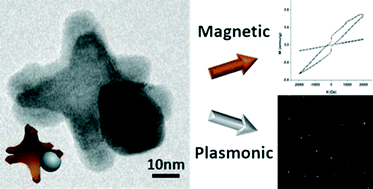 Graphical abstract: Selective formation of Ag domains on MnO nanooctapods for potential dual imaging probes