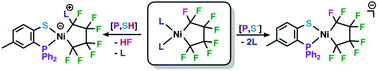 Graphical abstract: Brønsted acid-promoted C–F bond activation in [P,S]-ligated neutral and anionic perfluoronickelacyclopentanes