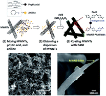 Graphical abstract: Carbon nanotube–polyaniline core–shell nanostructured hydrogel for electrochemical energy storage
