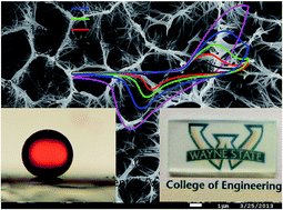 Graphical abstract: Bio-inspired synthesis of α-Ni(OH)2 nanobristles on various substrates and their applications