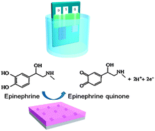 Graphical abstract: Highly-sensitive epinephrine sensors based on organic electrochemical transistors with carbon nanomaterial modified gate electrodes