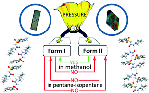 Graphical abstract: Effect of pressure on two polymorphs of tolazamide: why no interconversion?