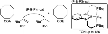 Graphical abstract: A long-tethered (P–B–P)-pincer ligand: synthesis, complexation, and application to catalytic dehydrogenation of alkanes