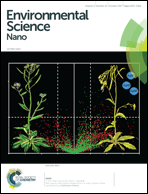 Graphical abstract: Inside front cover