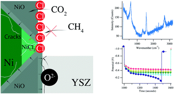 Graphical abstract: Chlorine-induced degradation in SOFCs operating with biogas