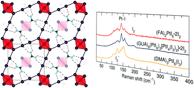 Graphical abstract: The capricious nature of iodine catenation in I2 excess, perovskite-derived hybrid Pt(iv) compounds