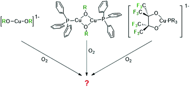 Graphical abstract: Cu(i)–O2 oxidation reactions in a fluorinated all-O-donor ligand environment