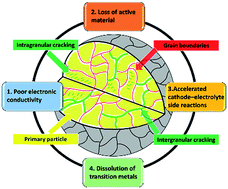 Graphical abstract: Chemomechanical behaviors of layered cathode materials in alkali metal ion batteries