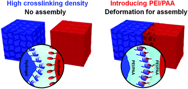 Graphical abstract: Macroscopic supramolecular assembly of rigid hydrogels assisted by a flexible spacing coating