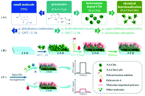 Graphical abstract: A synergistic approach to enhance the photoelectrochemical performance of carbon dots for molecular imprinting sensors