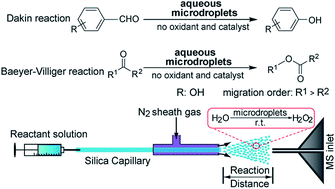 Graphical abstract: Aqueous microdroplets containing only ketones or aldehydes undergo Dakin and Baeyer–Villiger reactions