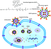 Graphical abstract: An anticancer agent-loaded PLGA nanomedicine with glutathione-response and targeted delivery for the treatment of lung cancer