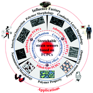 Graphical abstract: An overview of stretchable strain sensors from conductive polymer nanocomposites