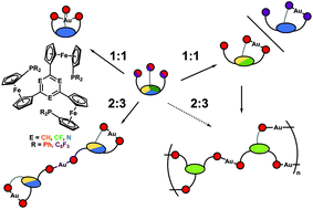 Graphical abstract: The core of the matter – arene substitution determines the coordination and catalytic behaviour of tris(1-phosphanyl-1′-ferrocenylene)arene gold(i) complexes