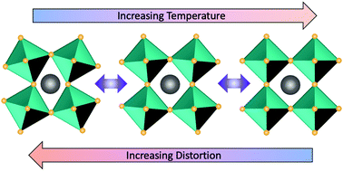 Graphical abstract: Polymorphism in metal halide perovskites