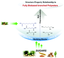 Graphical abstract: Synthesis and characterization of fully biobased polyesters with tunable branched architectures