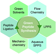 Graphical abstract: Greening the synthesis of peptide therapeutics: an industrial perspective