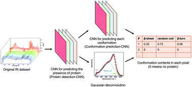 Graphical abstract: Predicting the conformations of the silk protein through deep learning