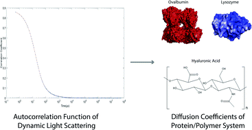 Graphical abstract: Investigating protein diffusivities in diluted hyaluronic acid solutions using dynamic light scattering