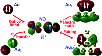 Graphical abstract: Various bond interactions between NO and anionic gold clusters: a theoretical calculation